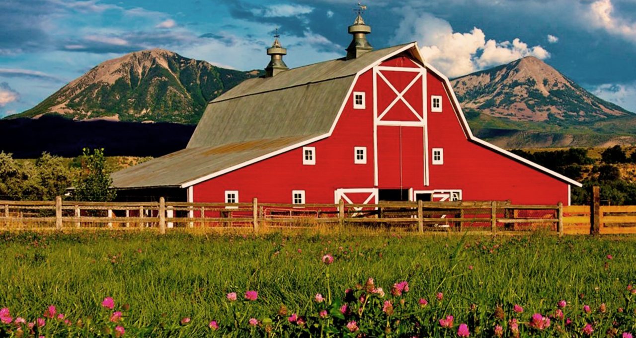 Colorado Vineyards