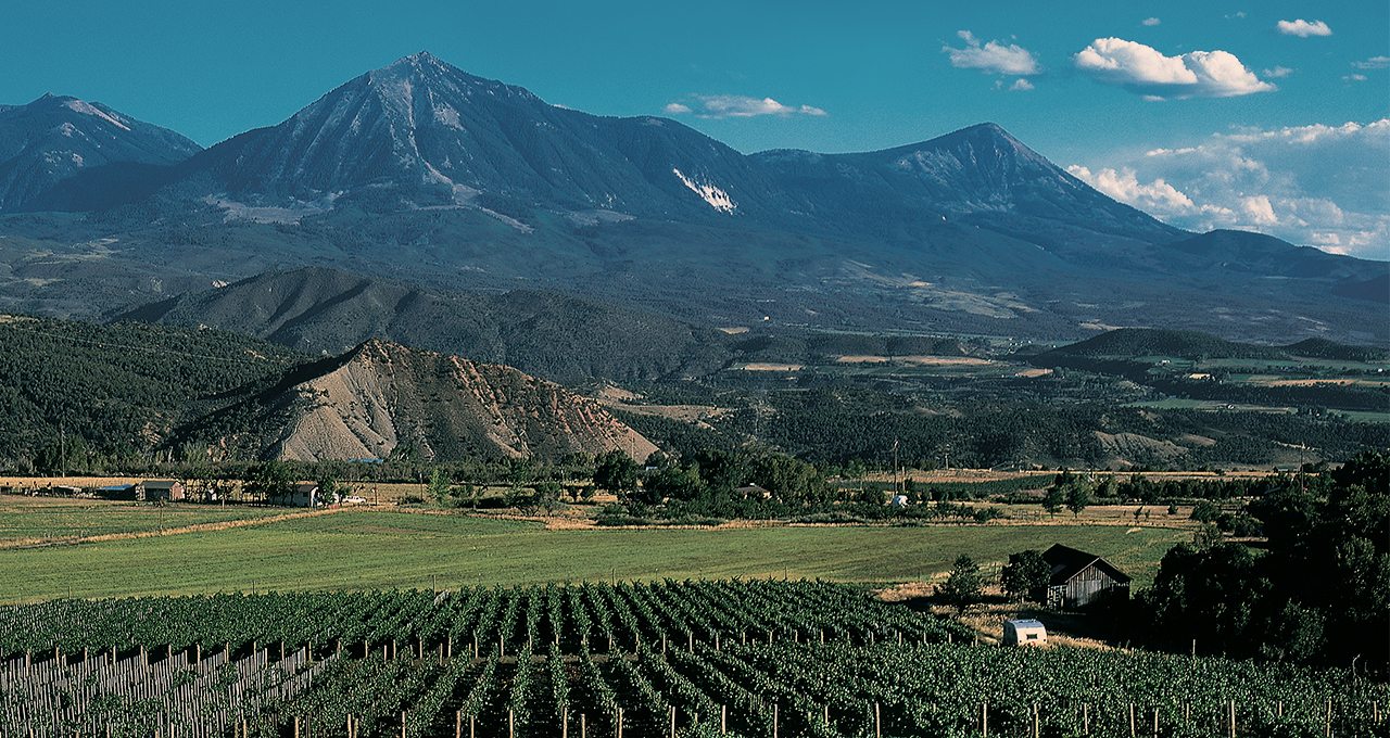 Colorado Wineries