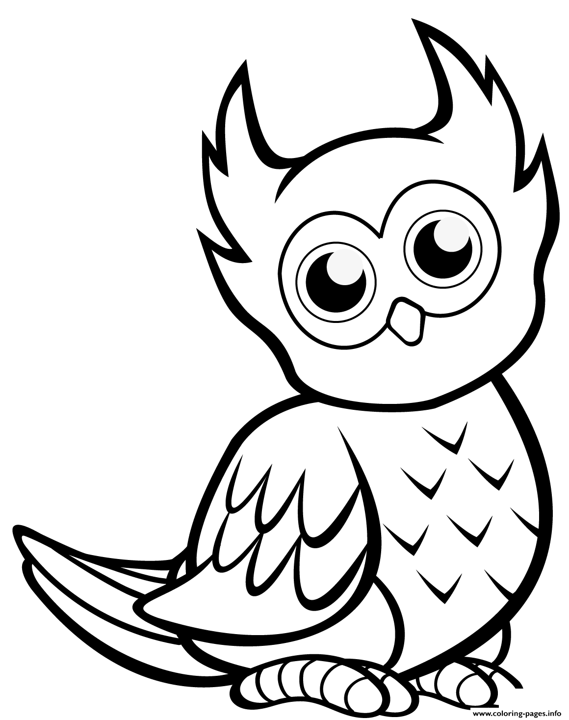 Coloring Pages Free Owl