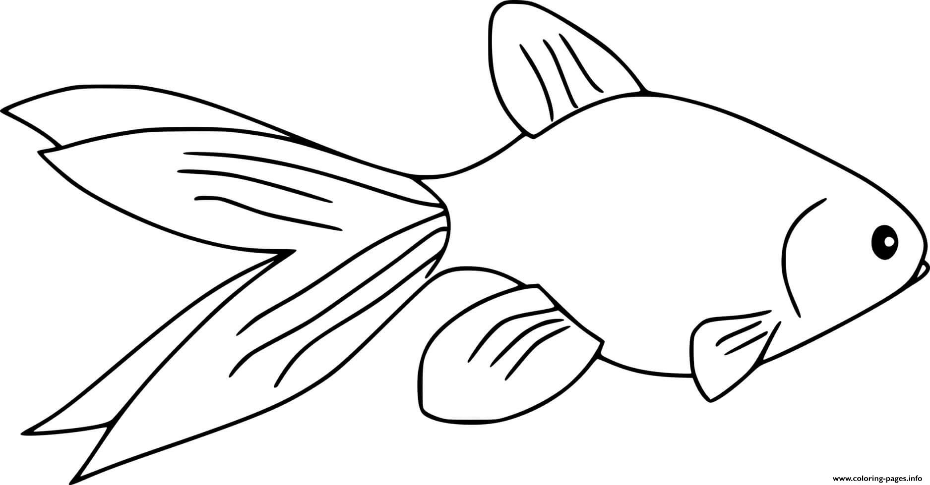 Common Goldfish Coloring page Printable