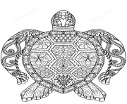 turtle zentangle adults