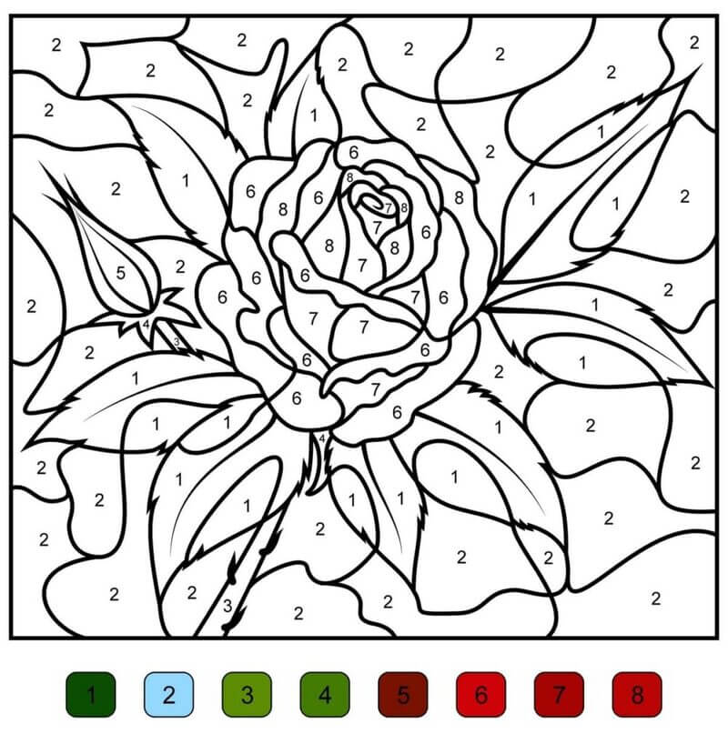 Hard Rose color by number - Download, Print Now!