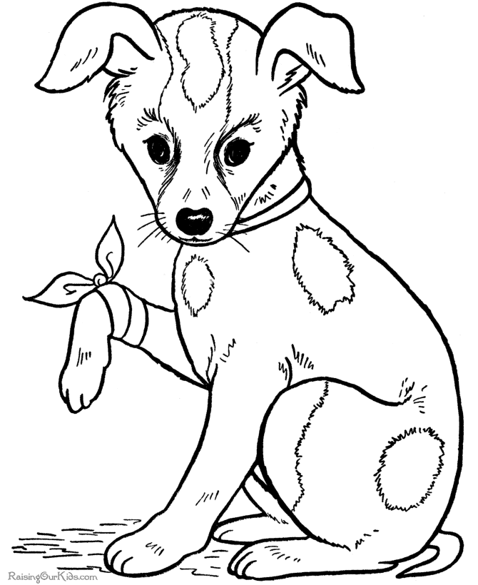 Realistic Dog Coloring Pages - Coloring Home