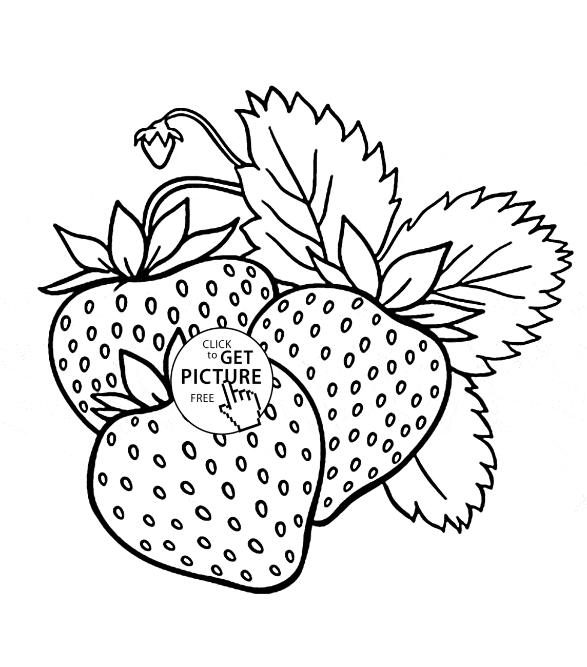 Fruits For Coloring Coloring Pages