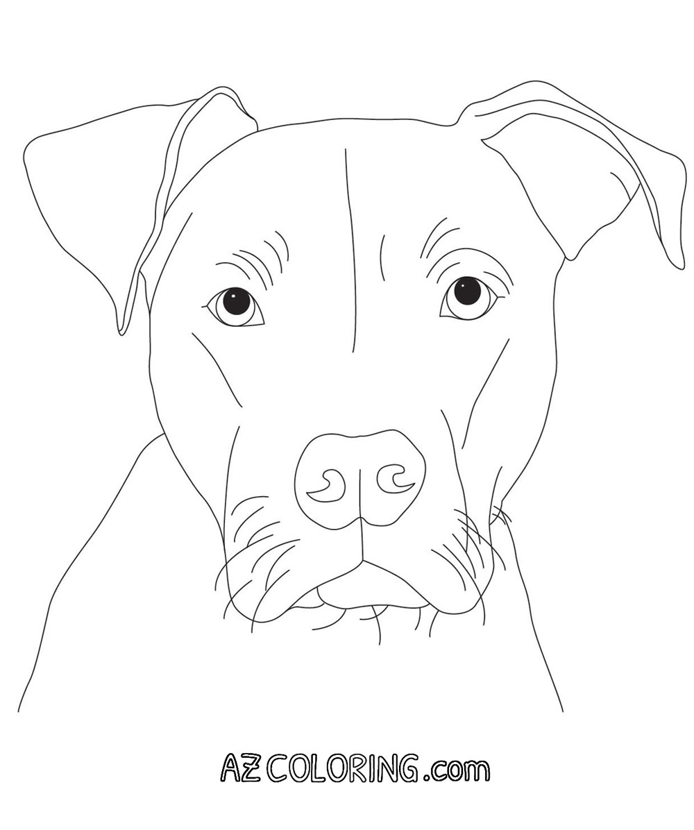 Xmas Pitbull Coloring Page