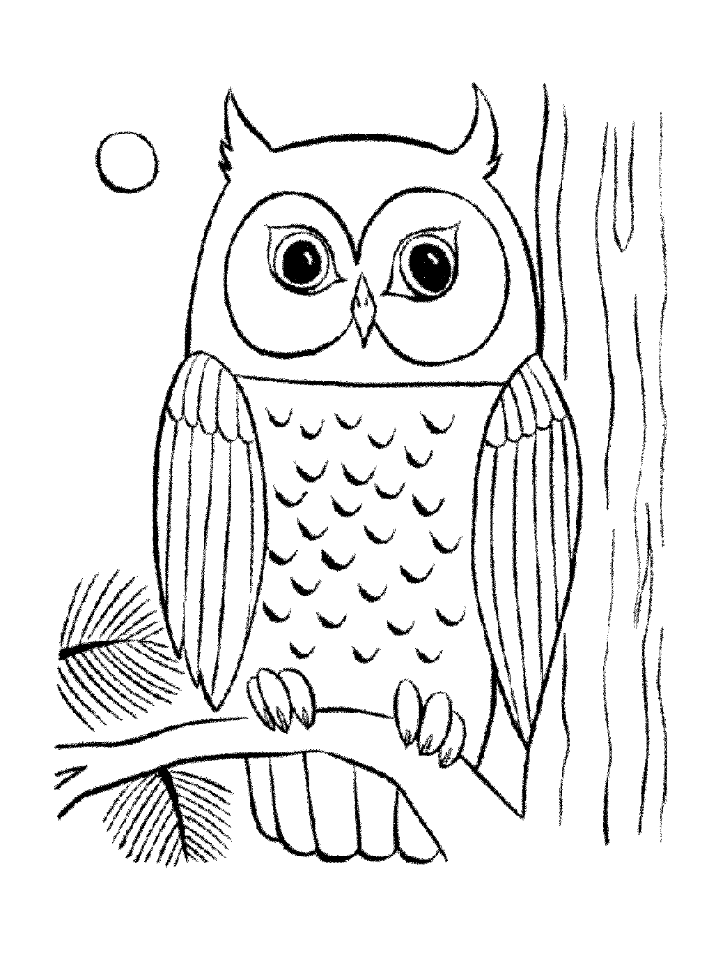 Printable Owl Coloring Pages