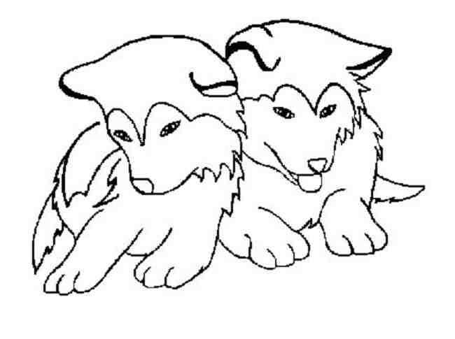 huskies-coloring-pages-coloring-home