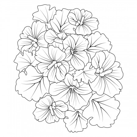 flower cluster drawing Easy flower coloring pages, Cute flower coloring  pages, flower coloring page for adults, Realistic flower coloring pages,  vintage floral vector illustration - MasterBundles