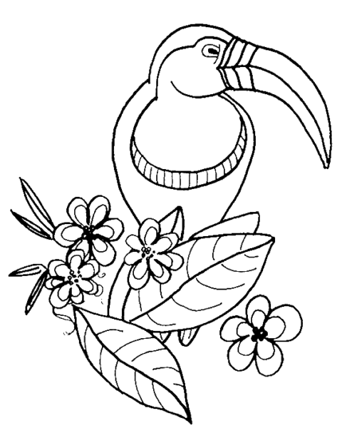 Bird Coloring Pages (14)