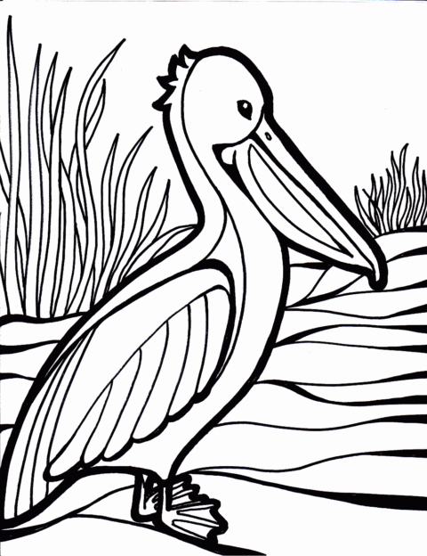 Bird Coloring Pages (4)