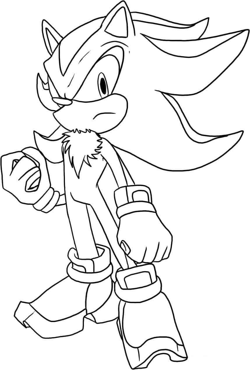 Cool Shadow The Hedgehog