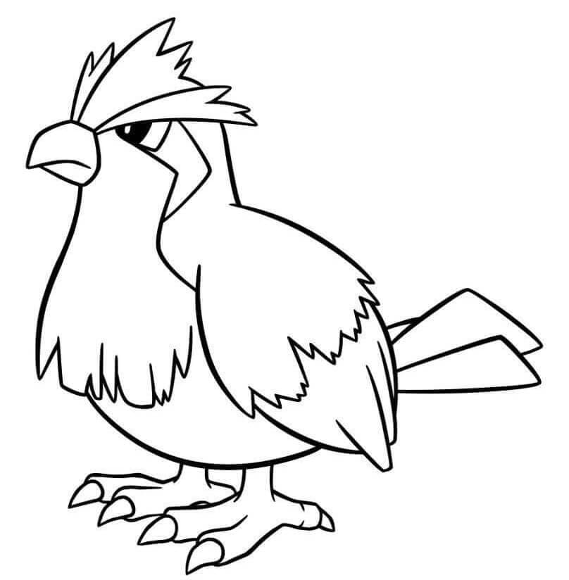 Pidgey Pokemon