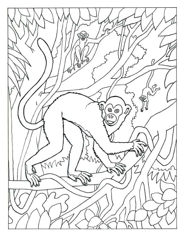 Monkeys in the Jungle coloring page