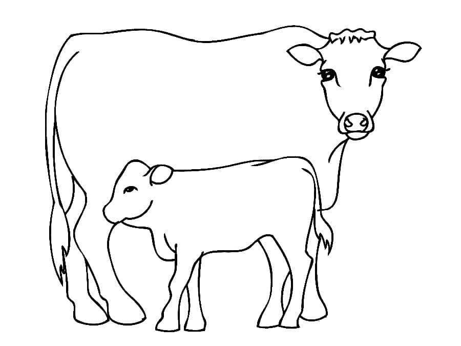 A Cow and Calf coloring page