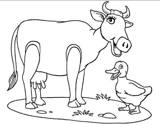 Cow and Duck coloring page