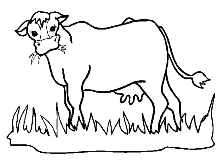 Cow In The Field coloring page