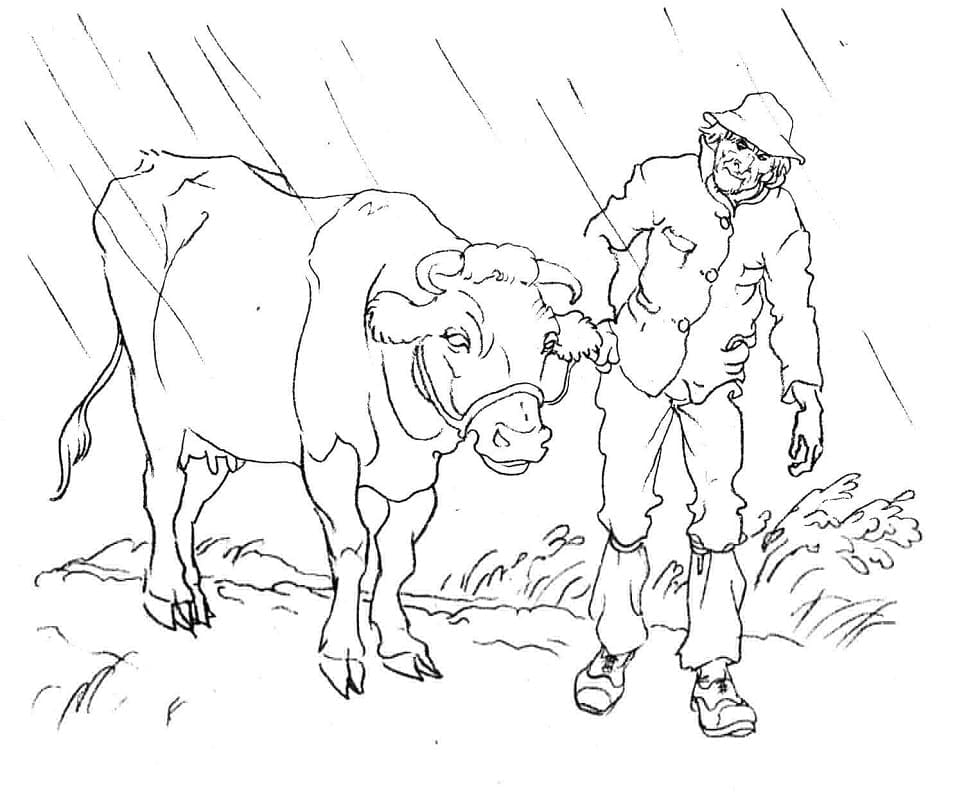 Man and Cow coloring page