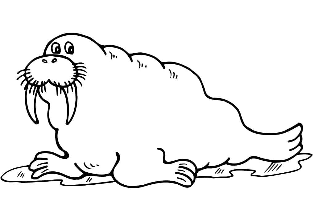 Cartoon Happy Walrus coloring page - Download, Print or Color Online ...