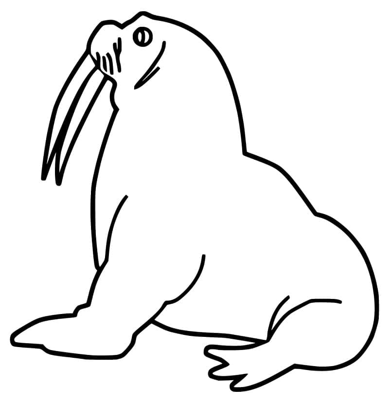 Easy Walrus coloring page - Download, Print or Color Online for Free