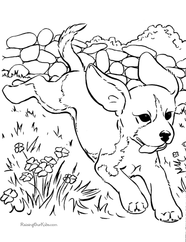 Realistic puppy coloring pages download and print for free