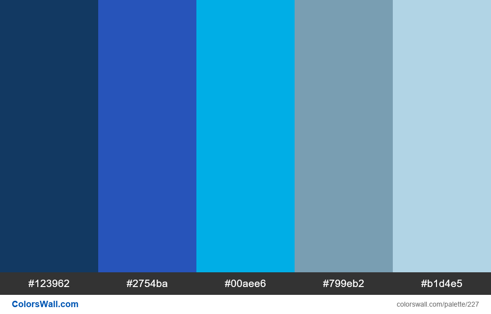 Blockchain colors #123962, #2754ba, #00aee6 - ColorsWall