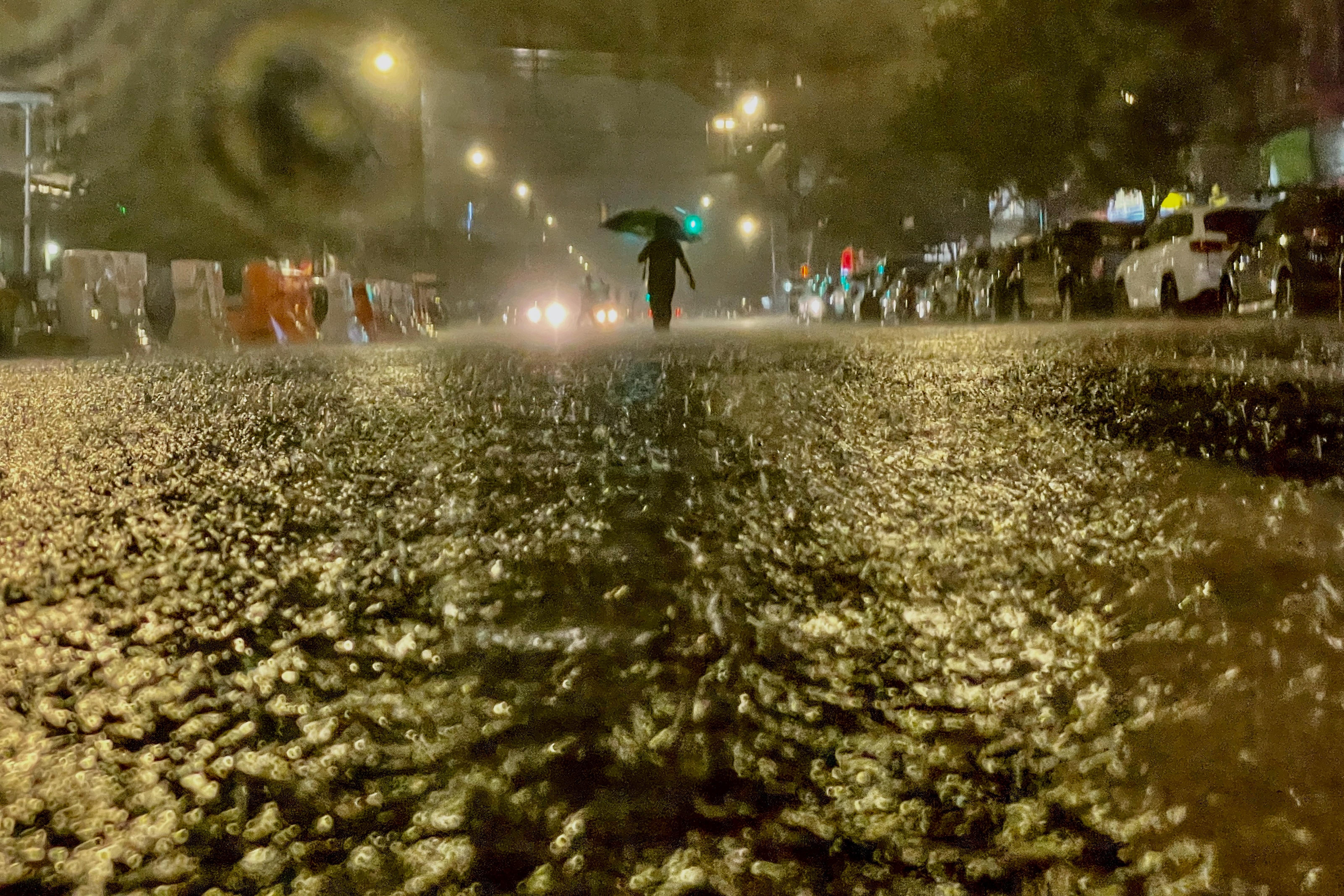 A person walks with an umbrella in the rain in a flooded street.