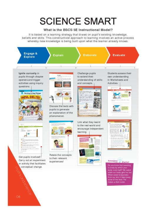 ALSTON-Science SMART Textbook 5-Primary Book Textbook - Image 2