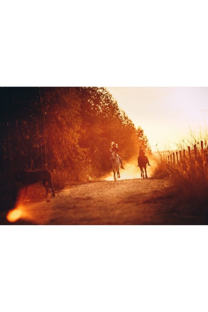 image of 2 people on horseback riding trail in ct.