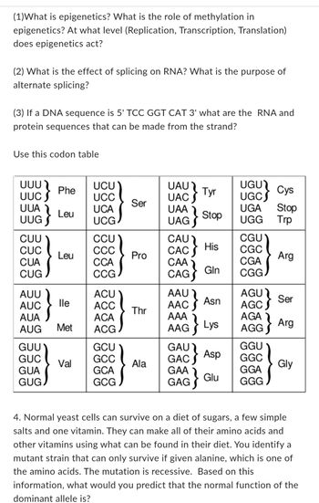 **Section on Epigenetics, RNA Splicing, and Genetic Translation**

**1. Understanding Epigenetics**
- **Definition:** Epigenetics involves the study of changes in gene expression that do not involve alterations to the underlying DNA sequence. These changes can affect how cells read genes.
- **Role of Methylation:** Methylation is a key epigenetic mechanism where methyl groups are added to DNA. This often modifies the expression of genes and can turn genes on or off. 
- **Level of Action:** Epigenetics primarily acts at the level of transcription, influencing whether a gene is expressed or silenced.

**2. Impact of Splicing on RNA**
- **Function of Splicing:** Splicing is a process during RNA processing where introns (non-coding regions) are removed, and exons (coding sequences) are joined. 
- **Purpose of Alternate Splicing:** Alternate splicing enables a single gene to code for multiple proteins by varying the combination of exons in the final mRNA.

**3. Translating DNA to Proteins**
- **Given DNA Sequence:** 5' TCC GGT CAT 3'
- **RNA and Protein Sequences:**
  - **RNA Transcription:** The sequence is transcribed to 3' AGG CCA GUA 5' (RNA: AGG CCA GUA).
  - **Using the Codon Table:**
    - **Codons:**
      - AGG - Arg (Arginine)
      - CCA - Pro (Proline)
      - GUA - Val (Valine)

**Codon Table Explanation**
- The table is a visual representation of the genetic code, showing which triplets of RNA bases (codons) correspond to which amino acids or functions (e.g., start, stop).
- Codons are grouped into categories based on the first base of the triplet, and each codon corresponds to a specific amino acid, listed using standard abbreviations (e.g., Phe for Phenylalanine, Leu for Leucine).

**4. Yeast Mutation Analysis**
- **Scenario Overview:** Normal yeast can synthesize all necessary amino acids and vitamins from a basic diet. A discovered mutant strain requires external alanine supplementation due to a recessive mutation.
- **Predicting the Function of the Dominant Allele:** Given the mutant's reliance on external alanine, the dominant allele likely codes for an enzyme required for