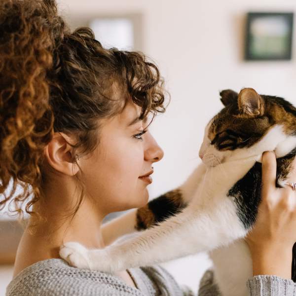 Encontramos las 10 aspiradoras más valoradas para eliminar el pelo de mascotas de tu casa