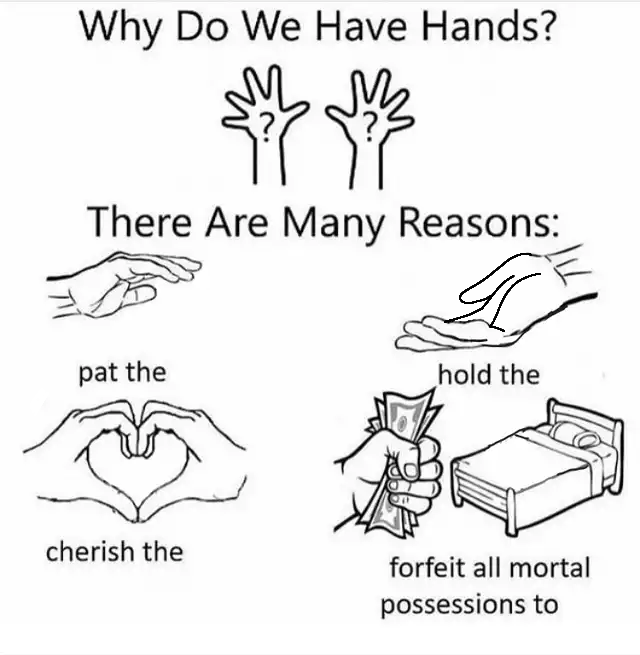 Why do we have hands? (all blank) 