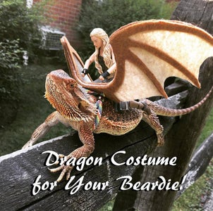 Easy Dragon Costume for Your Beardie!