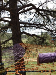 Colorado Tree Nets 