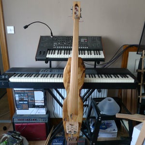 Electric Upright Bass