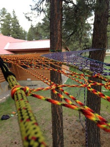 Colorado Tree Nets 