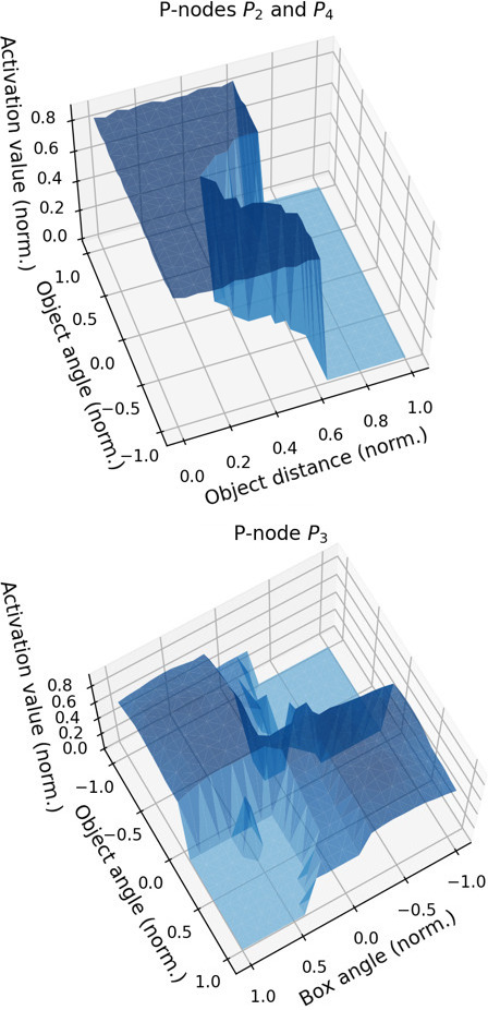 Final activation areas for P-nodes P2 and P4, and P3.