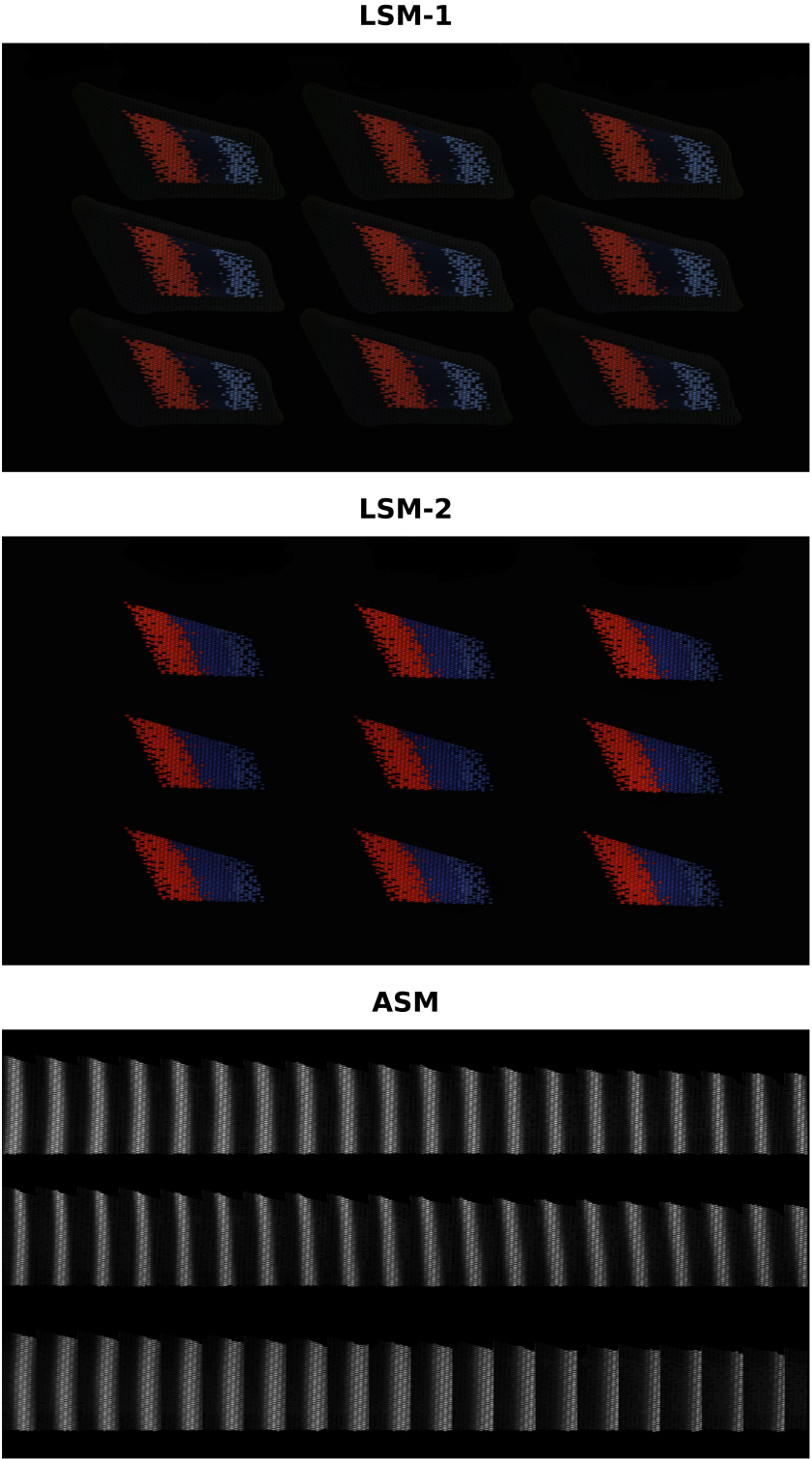 Excerpts of masked sample images, acquired by means of the three measurement chambers: LSM-1, LSM-2 and ASM within a sequential run.