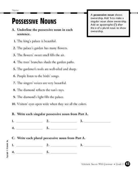 Activity Sheets For Possessive Nouns Ppt - portlandbertyl