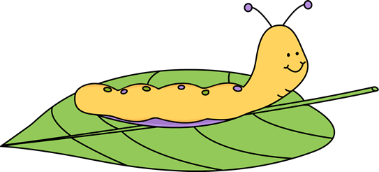 Caterpillar on a Leaf