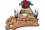 Sioux Falls Pheasants Logo