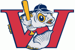 Winnipeg Goldeyes Logo