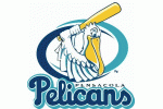 Pensacola Pelicans Logo