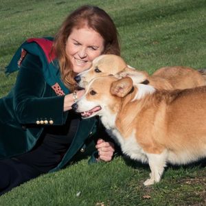 Sarah Ferguson ehrt Corgis der Queen (†96) am Welthundetag