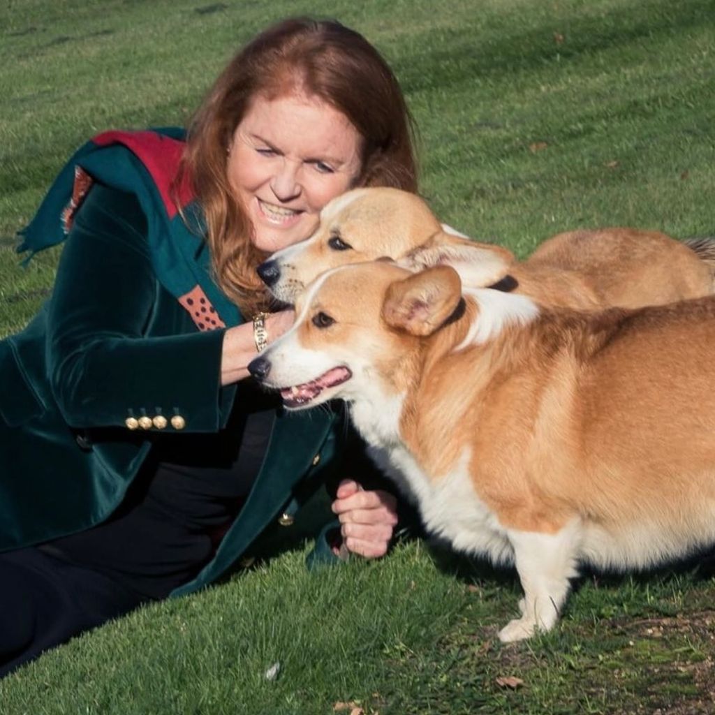 Sarah Ferguson mit den Corgis von Queen Elizabeth II. (†)