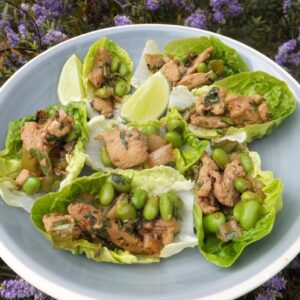 Asian style chicken lettuce wraps