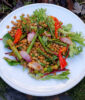 Grilled asparagus and lentil salad