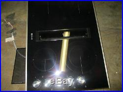 Jenn-Air JED3430GS 30 Inch Electric Downdraft Down Draft Smoothtop Cooktop