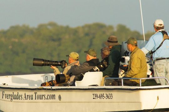 Two-Hour Everglades National Park Dolphin, Birding and Wildlife Boat Tour