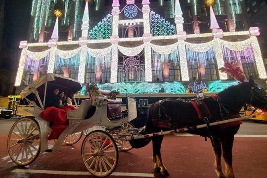 Private NYC Christmas Lights Horse Carriage Ride