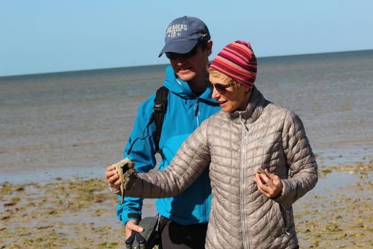 Everglades National Park Small Group Guided Boating & Walking Tour Expedition